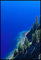 Pine trees and blue waters. Crater Lake National Park, Oregon, USA. (color)