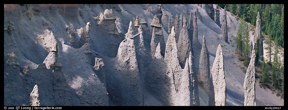 Cluster of volcanic columns. Crater Lake National Park (color)