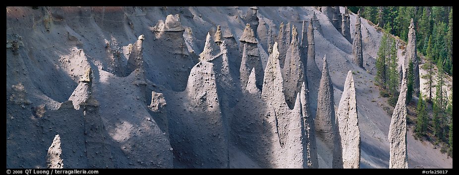 Cluster of volcanic columns. Crater Lake National Park (color)