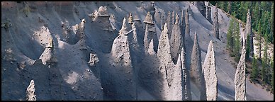 Cluster of volcanic columns. Crater Lake National Park (Panoramic color)