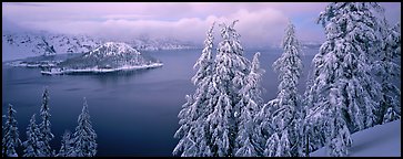 Snowy trees, lake, and Wizard Island. Crater Lake National Park, Oregon, USA.