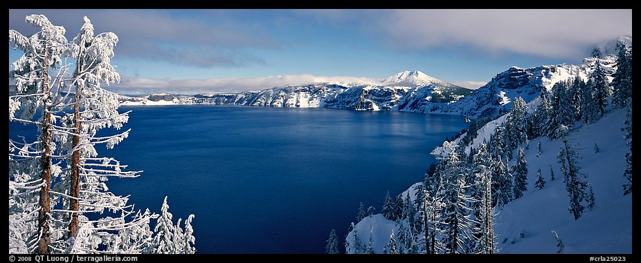 Lake and snow-covered trees. Crater Lake National Park, Oregon, USA.