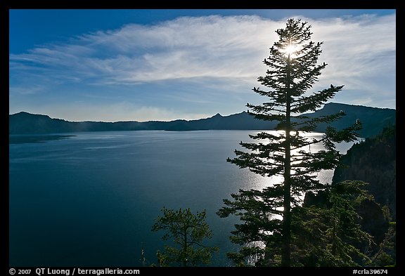 Lake and sun shining through pine tree, afternoon. Crater Lake National Park, Oregon, USA.