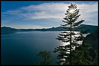 Lake and sun shining through pine tree, afternoon. Crater Lake National Park, Oregon, USA.