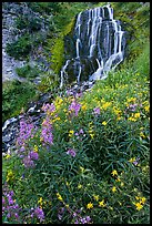 Vidae Falls and wildflowers. Crater Lake National Park, Oregon, USA.