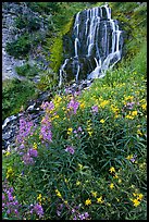 Vidae Falls and wildflowers. Crater Lake National Park ( color)