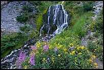 Vidae Falls and stream. Crater Lake National Park ( color)