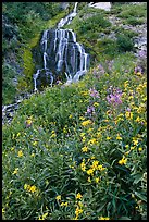 Wildflowers and Vidae Falls. Crater Lake National Park, Oregon, USA.