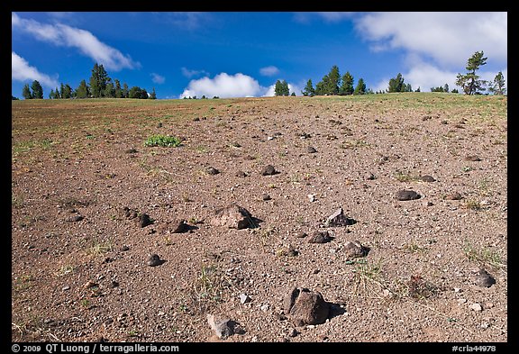 Pumice plain. Crater Lake National Park, Oregon, USA.