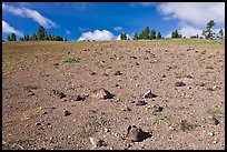 Pumice plain. Crater Lake National Park, Oregon, USA.