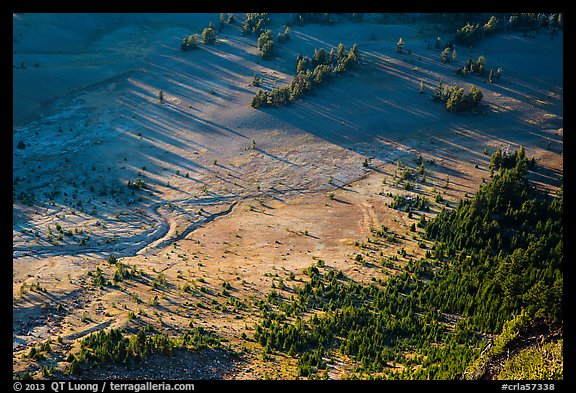 Trees and pumice plain seen from Mount Scott. Crater Lake National Park (color)