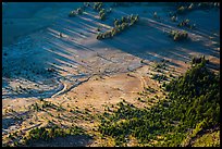 Trees and pumice plain seen from Mount Scott. Crater Lake National Park ( color)