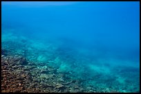 Underwater rocks, Wizard Island. Crater Lake National Park ( color)