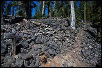 Trail junction and signs, Wizard Island. Crater Lake National Park, Oregon, USA.