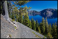 Wizard Island summit trail. Crater Lake National Park, Oregon, USA.