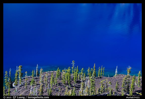 Hemlock trees on lava rocks bordering blue waters of Skell Channel, Wizard Island. Crater Lake National Park (color)