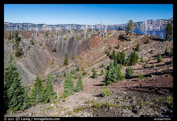 Crater inside Wizard Island cinder cone. Crater Lake National Park (color)