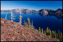Red cinders and ash on Wizard Island. Crater Lake National Park ( color)