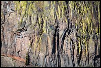 Cliff detail. Crater Lake National Park ( color)