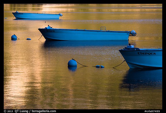 Tour boats and golden reflections, Cleetwood Cove. Crater Lake National Park (color)