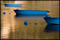 Tour boats and golden reflections, Cleetwood Cove. Crater Lake National Park ( color)