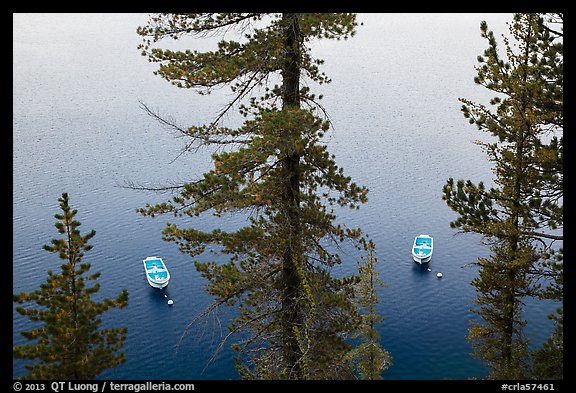 Tour boats seen between trees, Cleetwood Cove. Crater Lake National Park (color)