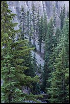 Hemlock in Munson Creek canyon. Crater Lake National Park ( color)