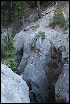 Munson Creek gorge carved in fossilized ash. Crater Lake National Park ( color)