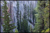 Hemlock and spires of fossilized ash in Munson Creek canyon. Crater Lake National Park ( color)