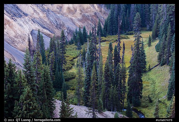 Godfrey Glen. Crater Lake National Park (color)