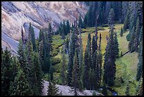 Godfrey Glen. Crater Lake National Park ( color)