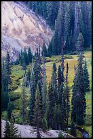 Godfrey Glen Meadow and ash cliffs. Crater Lake National Park ( color)