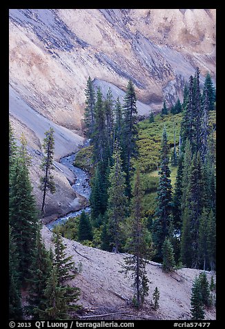 Junction of Munson Creek and Annie Creek at Godfrey Glen. Crater Lake National Park (color)