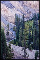 Junction of Munson Creek and Annie Creek at Godfrey Glen. Crater Lake National Park ( color)