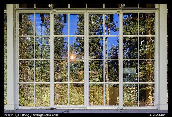 Forest, Steel Visitor Center window reflexion. Crater Lake National Park (color)