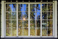 Forest, Steel Visitor Center window reflexion. Crater Lake National Park ( color)