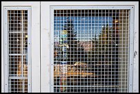 Crater lake Caldera, Rim Village Visitor Center window reflexion. Crater Lake National Park ( color)