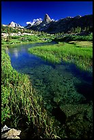 Stream and Finn Dome. Kings Canyon National Park, California, USA.