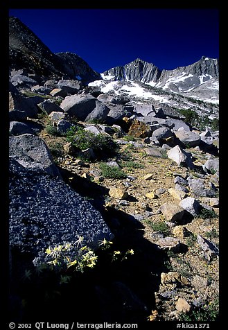 Mountains near Sawmill Pass, morning. Kings Canyon National Park, California, USA.