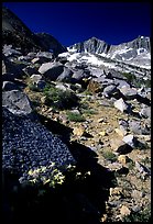 Mountains near Sawmill Pass, morning. Kings Canyon National Park, California, USA.