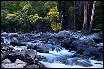 South Fork of  Kings River in autumn,  Giant Sequoia National Monument near Kings Canyon National Park. California, USA (color)
