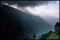 Kings Canyon from Cedar Grove overlook. Kings Canyon National Park, California, USA. (color)