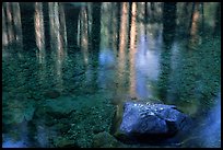 Reflections in Cedar Grove. Kings Canyon National Park, California, USA. (color)