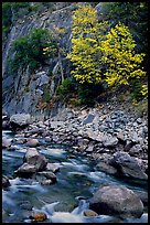 South Fork of  Kings River in autumn,  Giant Sequoia National Monument near Kings Canyon National Park. California, USA (color)