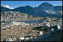 Deer, boulders, alpine lake, and mountains, Dusy Basin. Kings Canyon National Park, California, USA. (color)