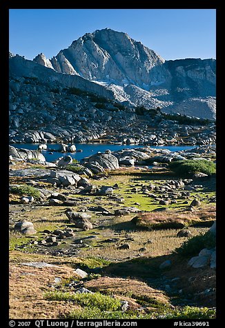 Alpine meadow, lake, and Mt Giraud, Dusy Basin. Kings Canyon National Park, California, USA.