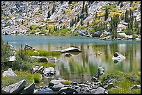 Lake and tree reflections, Lower Dusy Basin. Kings Canyon National Park, California, USA.