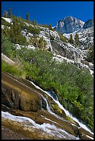 Waterfall, wildflowers and mountains, Le Conte Canyon. Kings Canyon National Park, California, USA. (color)