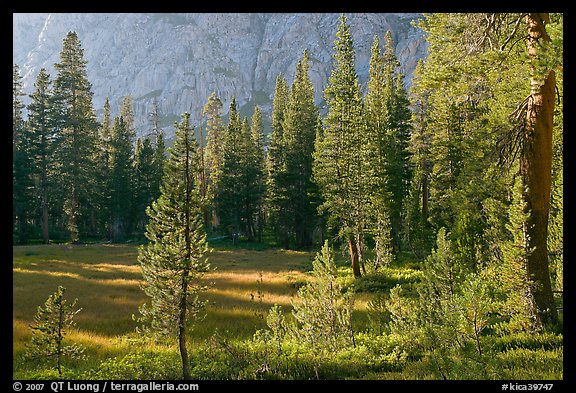 Big Pete Meadow, late afternoon, Le Conte Canyon. Kings Canyon National Park (color)