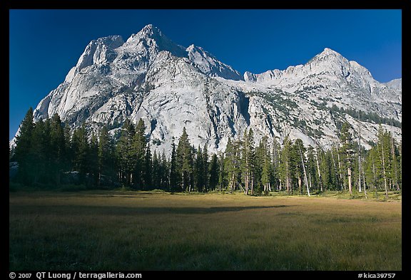 Langille Peak from Big Pete Meadow, morning, Le Conte Canyon. Kings Canyon National Park, California, USA.